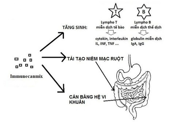 4 lý do mẹ chọn Lamikid I cùng con bước qua mùa dịch an toàn - 3 4 lý do mẹ chọn Lamikid I cùng con bước qua mùa dịch an toàn - 3