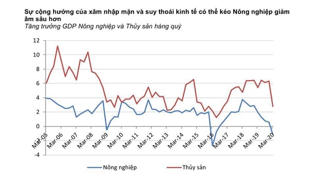 Việt Nam có nguy cơ tăng trưởng âm, điều mà khủng hoảng 2009 chưa xảy ra - 4 Việt Nam có nguy cơ tăng trưởng âm, điều mà khủng hoảng 2009 chưa xảy ra - 4