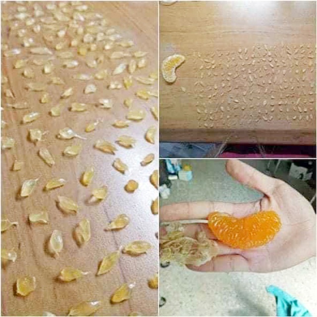 Đăng ảnh tiêu khiển mùa dịch, dân mạng khuyên tìm việc có ích mà làm - 5 Đăng ảnh tiêu khiển mùa dịch, dân mạng khuyên tìm việc có ích mà làm - 5