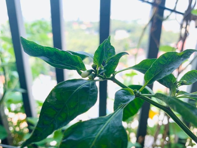 Người mẹ cay khóe mắt khi cùng con du lịch qua... ban công - 4 Người mẹ cay khóe mắt khi cùng con du lịch qua... ban công - 4