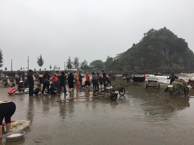 Mất việc vì Covid-19, ra biển bắt tôm cá trúng 1 triệu đồng/ngày - 9 Mất việc vì Covid-19, ra biển bắt tôm cá trúng 1 triệu đồng/ngày - 9