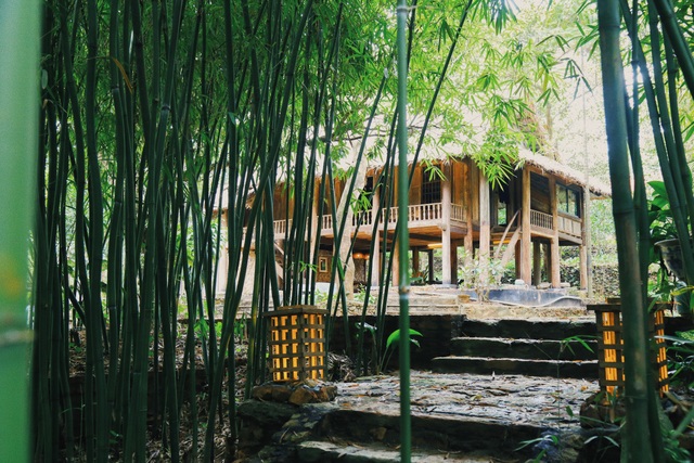Ngôi nhà trong mơ trên đỉnh núi gần Hà Nội: Cá đầy ao, vườn đầy hoa trái - 1 Ngôi nhà trong mơ trên đỉnh núi gần Hà Nội: Cá đầy ao, vườn đầy hoa trái - 1