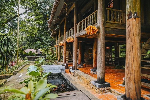Ngôi nhà trong mơ trên đỉnh núi gần Hà Nội: Cá đầy ao, vườn đầy hoa trái - 6 Ngôi nhà trong mơ trên đỉnh núi gần Hà Nội: Cá đầy ao, vườn đầy hoa trái - 6