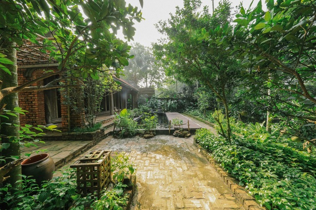 Ngôi nhà trong mơ trên đỉnh núi gần Hà Nội: Cá đầy ao, vườn đầy hoa trái - 13 Ngôi nhà trong mơ trên đỉnh núi gần Hà Nội: Cá đầy ao, vườn đầy hoa trái - 13