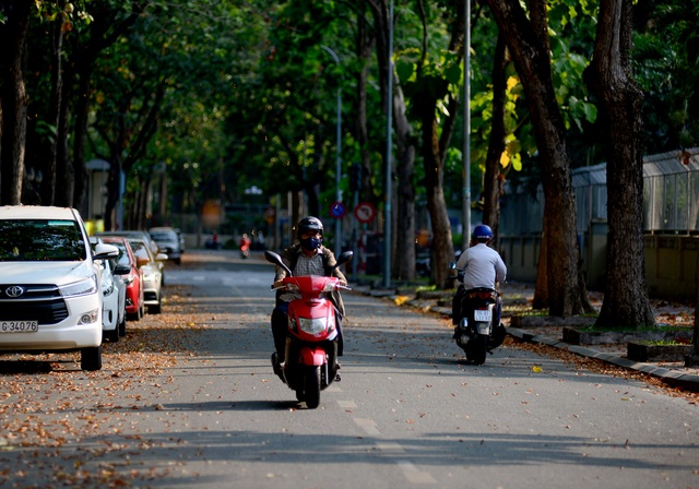 Ngắm hoa chò rơi.jpg Ngắm hoa chò rơi.jpg