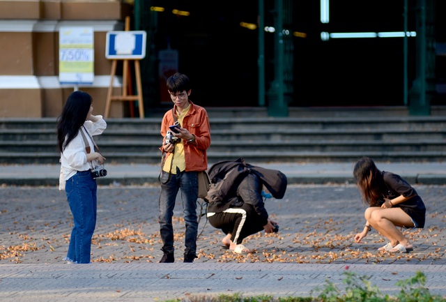 Ngắm hoa chò rơi.jpg Ngắm hoa chò rơi.jpg