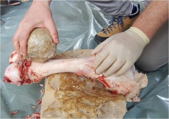 Giải mã bí ẩn của những quả bóng bằng đá 2 triệu năm tuổi - 2