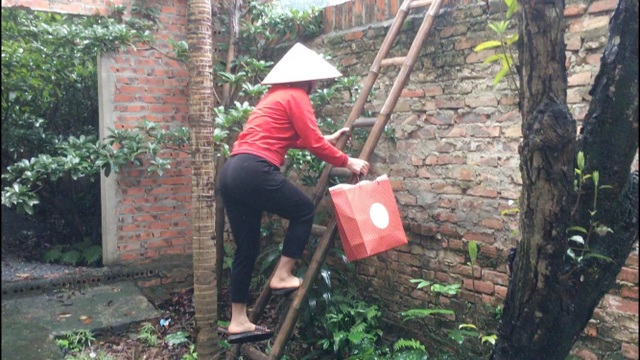 Sẽ cưỡng chế tháo dỡ bức tường bịt lối đi vào nhà cụ bà liệt giường - 1 Sẽ cưỡng chế tháo dỡ bức tường bịt lối đi vào nhà cụ bà liệt giường - 1