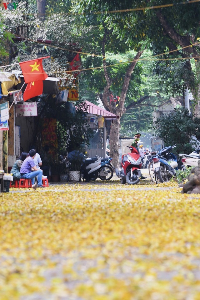 Phố phường Hà Nội đẹp nao  lòng mùa sấu trút lá vàng - 6