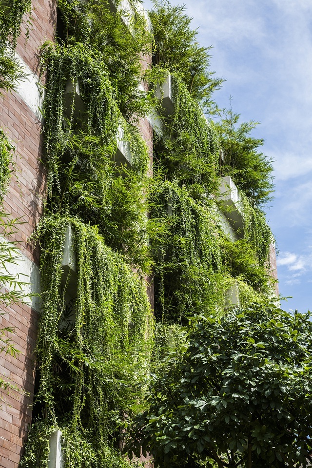 Những tòa nhà “phủ kín” cây xanh ấn tượng thế giới, Việt Nam cũng góp mặt - 11