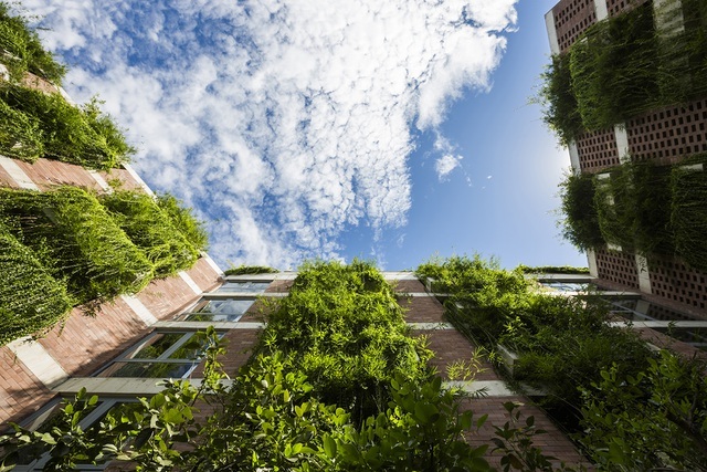 Những tòa nhà “phủ kín” cây xanh ấn tượng thế giới, Việt Nam cũng góp mặt - 10