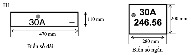 Nếu được chọn biển số xe, bạn có ý tưởng gì? - 22