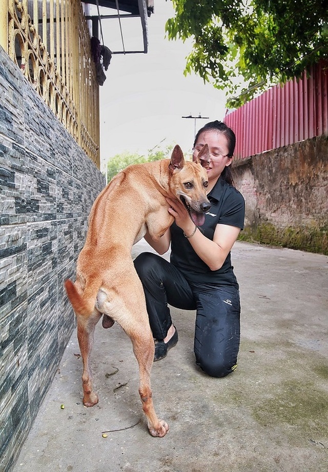Chú chó Phú Quốc đắt giá nhất Việt Nam được đại gia khắp nơi “săn đón” - 3
