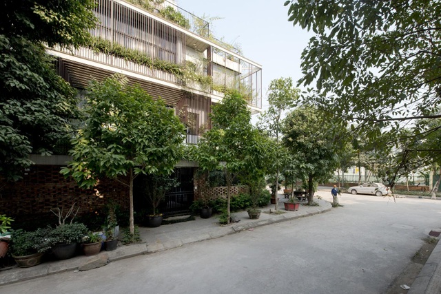 Hà Nội: Biệt thự 3 tầng phủ kín cây xanh đẹp lạ giữa lòng phố cổ - 2 Hà Nội: Biệt thự 3 tầng phủ kín cây xanh đẹp lạ giữa lòng phố cổ - 2