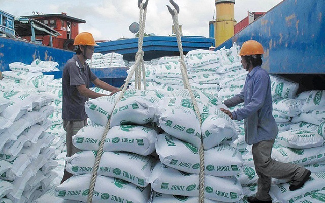 Phát hiện 161 tờ khai xuất khẩu gạo vô giá trị - 1 Phát hiện 161 tờ khai xuất khẩu gạo vô giá trị - 1