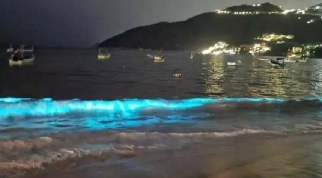 Nước biển Mexico phát ra ánh sáng xanh huyền ảo trong đêm
