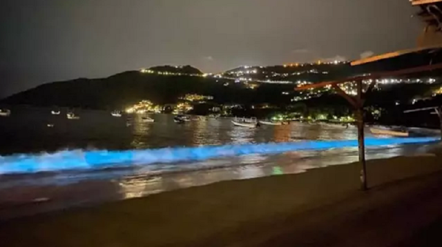 Nước biển Mexico phát ra ánh sáng xanh huyền ảo trong đêm - Ảnh minh hoạ 2