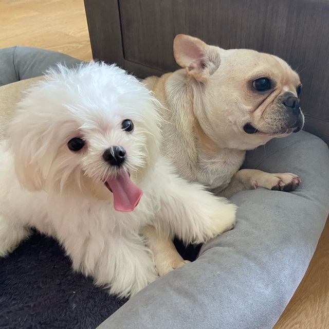 Sau thời gian trục trặc, Linh Rin và Phillip Nguyễn lại về bên nhau - 2