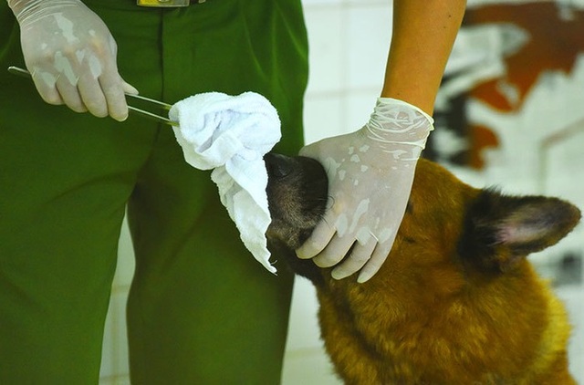 Truy tìm hung thủ sát hại hai vợ chồng trong đêm mưa bão - 3