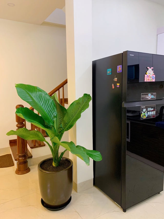 Ngắm ban công đầy hoa trong căn hộ của vợ chồng MC Hoàng Linh - 8 Ngắm ban công đầy hoa trong căn hộ của vợ chồng MC Hoàng Linh - 8