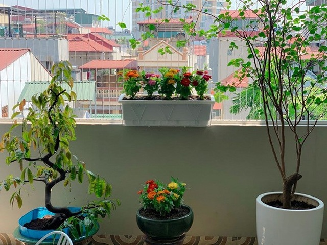 Ngắm ban công đầy hoa trong căn hộ của vợ chồng MC Hoàng Linh - 3