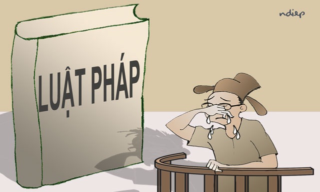 “Lò” vẫn nóng bỏng dù trong đại dịch! - 1 “Lò” vẫn nóng bỏng dù trong đại dịch! - 1
