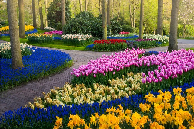 Cảnh quan lạ lẫm ở vườn hoa đẹp nhất thế giới khi… không người ghé ...