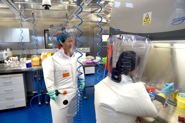 Tình báo Mỹ nói virus SARS-CoV-2 không phải do con người tạo ra - 1 Tình báo Mỹ nói virus SARS-CoV-2 không phải do con người tạo ra - 1