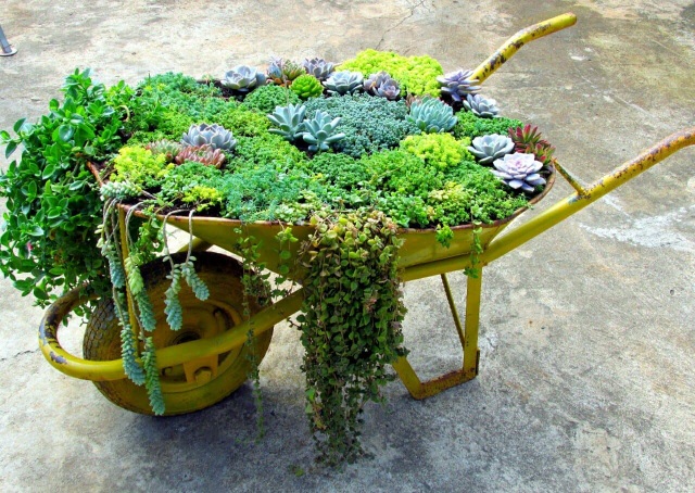 Độc đáo khu vườn ve chai của chị gái Lâm Đồng - 1 Độc đáo khu vườn ve chai của chị gái Lâm Đồng - 1