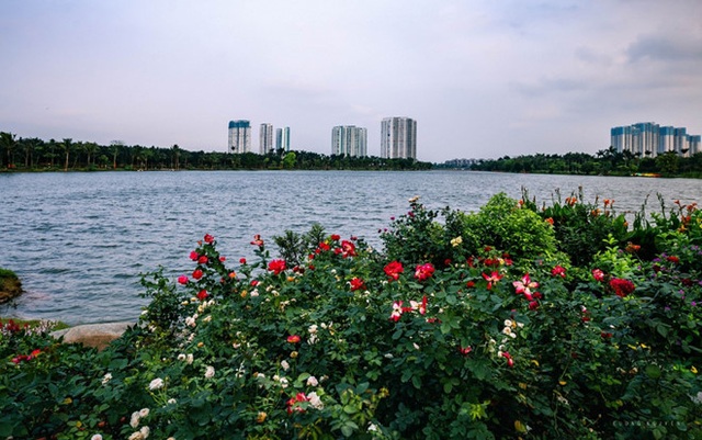 A foreground pool in the middle of the tower's twin twin Ecopark - 14