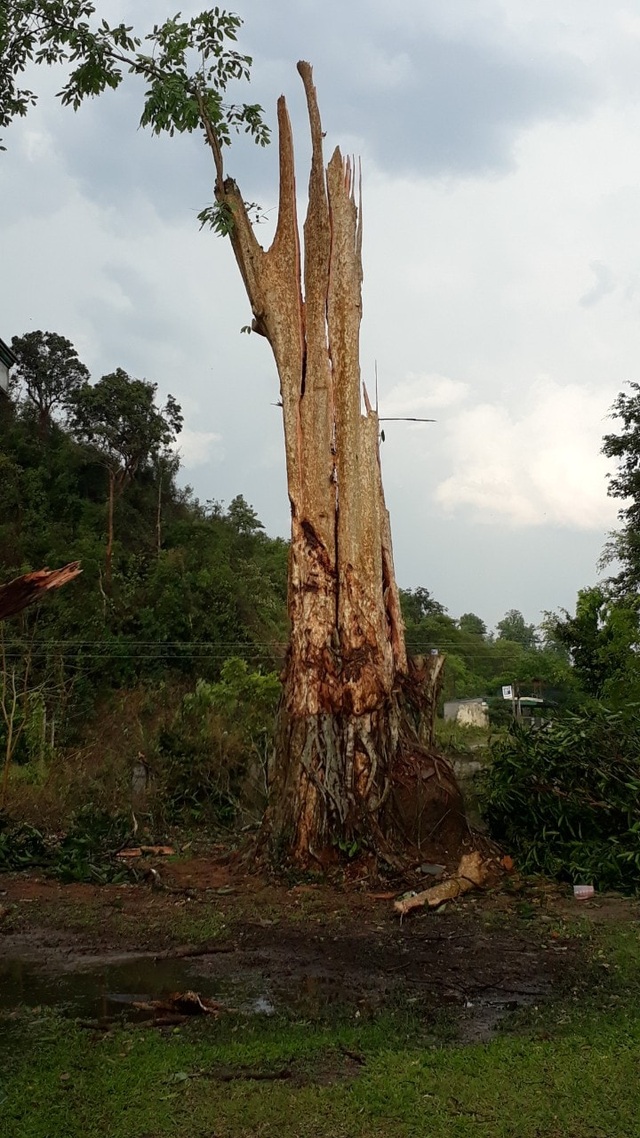 Close-up of a tornado sweeping the village of Nghe Nghe - 7 Close-up of a tornado sweeping the village of Nghe Nghe - 7