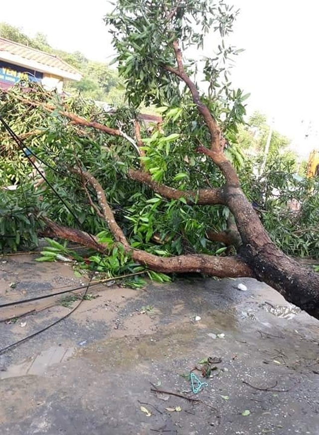 Near a tornado that devastates the village of Nghe Nghe - 6 Near a tornado that devastates the village of Nghe Nghe - 6