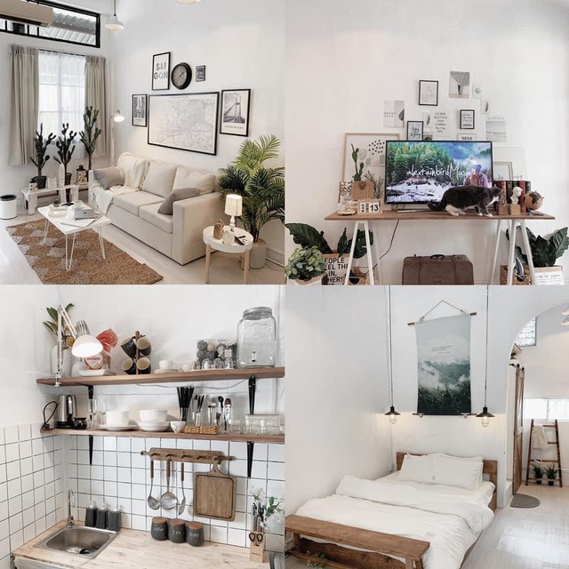 9x Sài Gòn biến những căn nhà cũ không ai thuê thành homestay đắt khách - 4 9x Sài Gòn biến những căn nhà cũ không ai thuê thành homestay đắt khách - 4