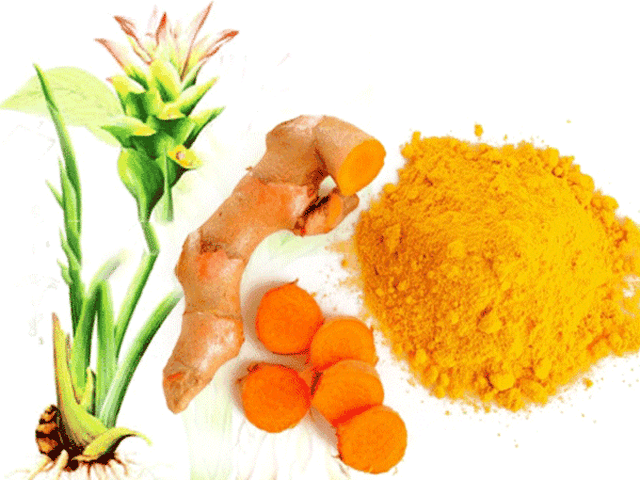 Thực phẩm vàng phòng chống ung thư bạn không nên bỏ qua - 1 Thực phẩm vàng phòng chống ung thư bạn không nên bỏ qua - 1