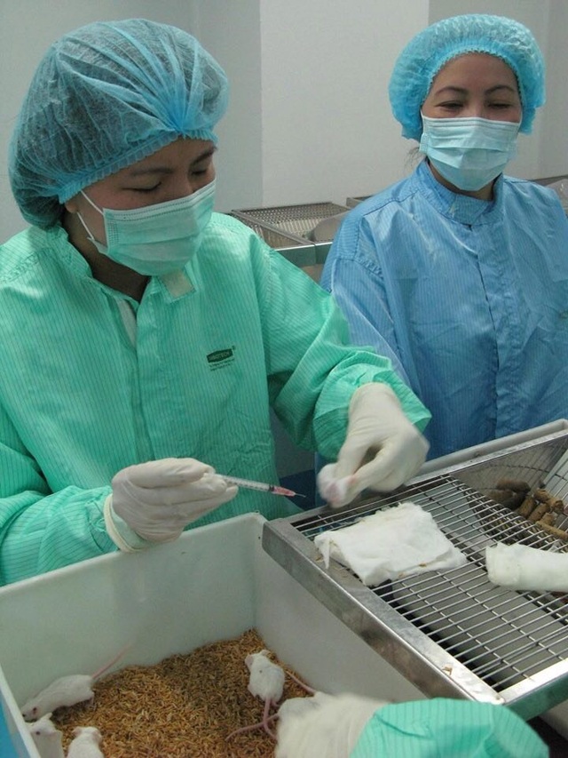 Việt Nam tiêm thử nghiệm vắc xin Covid-19: Chuột khỏe mạnh sau 10 ngày - 1 Việt Nam tiêm thử nghiệm vắc xin Covid-19: Chuột khỏe mạnh sau 10 ngày - 1