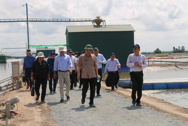 Ngành hàng cá tra cần tập trung phát triển thị trường trong nước - 1 Ngành hàng cá tra cần tập trung phát triển thị trường trong nước - 1