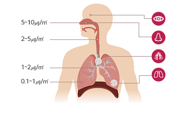 Giải pháp đối phó bụi mịn PM 1.0, “sát thủ” mùa nắng nóng - 1 Giải pháp đối phó bụi mịn PM 1.0, “sát thủ” mùa nắng nóng - 1
