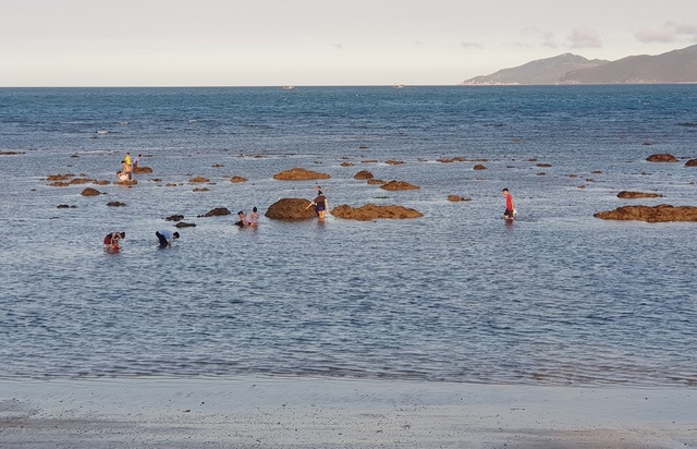 Bãi biển Nha Trang nhộn nhịp mùa nước cạn, phát lộ nhiều bãi đá - 4