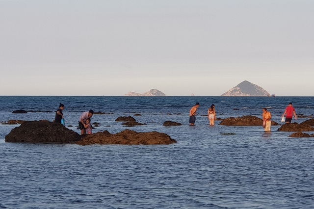 Bãi biển Nha Trang nhộn nhịp mùa nước cạn, phát lộ nhiều bãi đá - 8