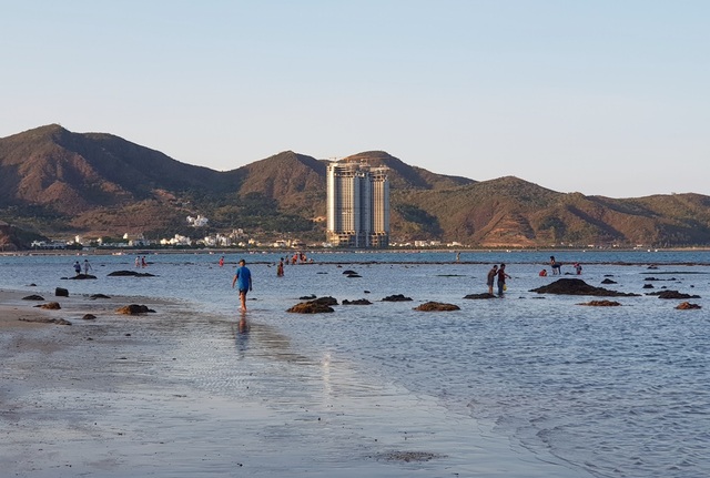 Bãi biển Nha Trang nhộn nhịp mùa nước cạn, phát lộ nhiều bãi đá - 7