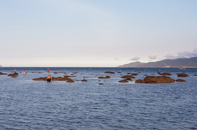 Bãi biển Nha Trang nhộn nhịp mùa nước cạn, phát lộ nhiều bãi đá - 9