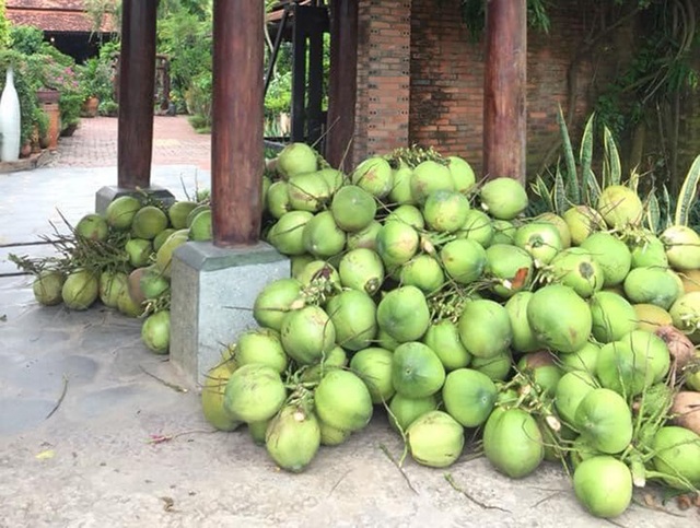 Chiêm ngưỡng ngôi nhà cổ tuyệt đẹp, rộng thẳng cánh cò bay ở Long An - 9 Chiêm ngưỡng ngôi nhà cổ tuyệt đẹp, rộng thẳng cánh cò bay ở Long An - 9