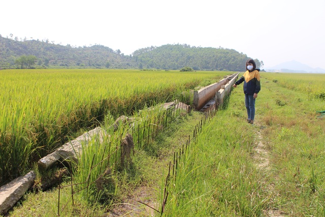 Nhà thầu dừng thi công, hàng chục tấn xi măng đông cứng giữa đồng - 4 Nhà thầu dừng thi công, hàng chục tấn xi măng đông cứng giữa đồng - 4