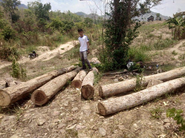 Những khoảnh rừng bị “cạo trọc” trong vùng giáp ranh Ia Pa tại Gia Lai - 1 Những khoảnh rừng bị “cạo trọc” trong vùng giáp ranh Ia Pa tại Gia Lai - 1