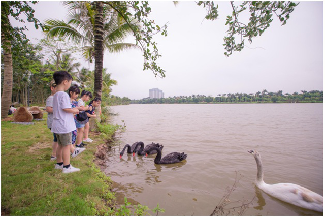 Dự án căn hộ cao cấp Ecopark có hồ cảnh quan hơn 50 ha - 5