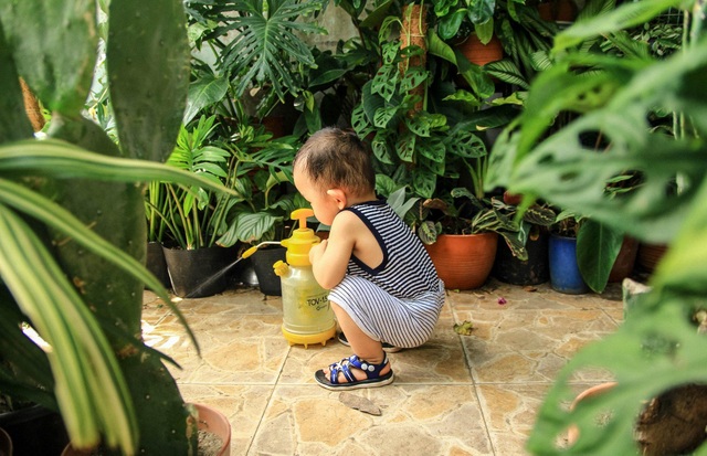 Người mẹ Đà Nẵng chăm chút khu vườn 18m2 đẹp như mơ tặng con trai - 8 Người mẹ Đà Nẵng chăm chút khu vườn 18m2 đẹp như mơ tặng con trai - 8