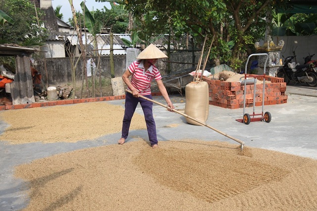 Hàng chục hộ dân viết đơn tự nguyện không nhận hỗ trợ gói 62.000 tỷ đồng - 2 Hàng chục hộ dân viết đơn tự nguyện không nhận hỗ trợ gói 62.000 tỷ đồng - 2
