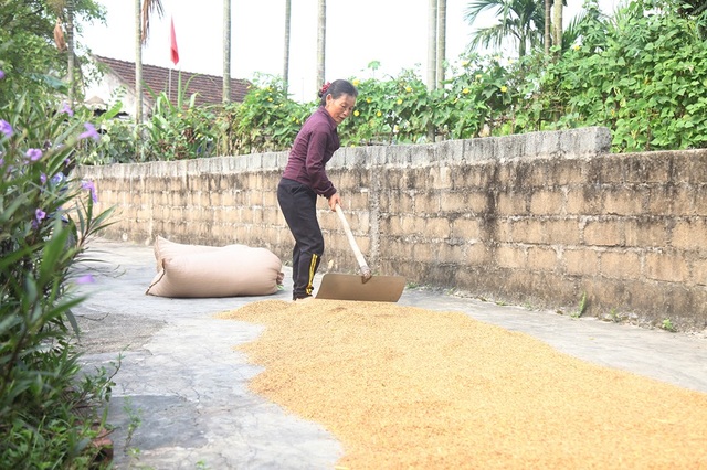 Hàng chục hộ dân viết đơn tự nguyện không nhận hỗ trợ gói 62.000 tỷ đồng - 3 Hàng chục hộ dân viết đơn tự nguyện không nhận hỗ trợ gói 62.000 tỷ đồng - 3