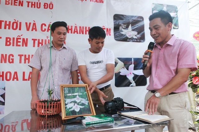 Choáng những giỏ hoa lan đột biến hiếm thấy ở Hà Nội, giá hàng trăm triệu - 15 Choáng những giỏ hoa lan đột biến hiếm thấy ở Hà Nội, giá hàng trăm triệu - 15
