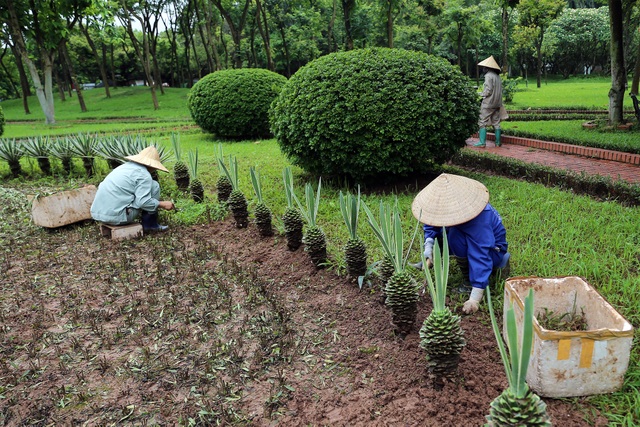 Lăng Chủ tịch Hồ Chí Minh mở cửa đón khách trở lại - Ảnh minh hoạ 5